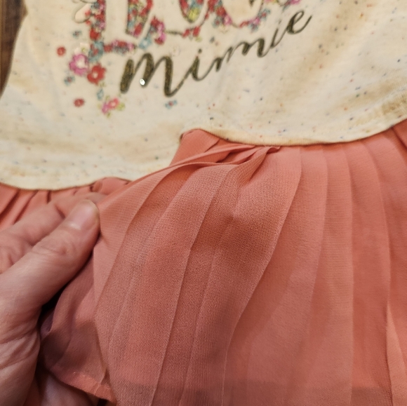 Toddler Minnie Dress Size 4T - Picture 3 of 5